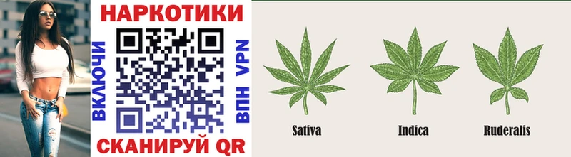 Где купить наркотики Киров ГАШ БУТИРАТ Меф мяу мяу Галлюциногенные грибы Марихуана Альфа ПВП Кокаин