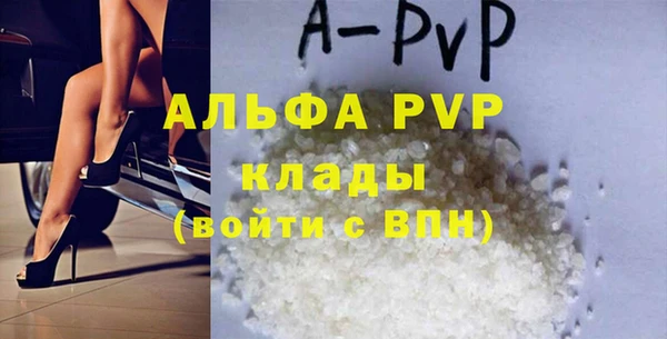 спиды Михайлов