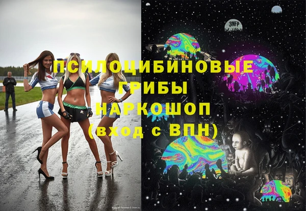 спиды Михайлов
