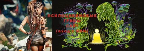 стаф Медвежьегорск