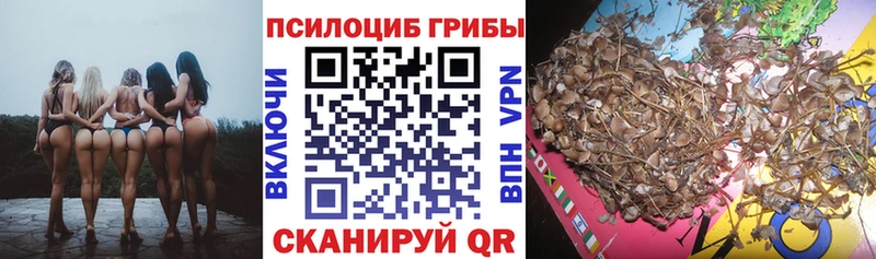 Галлюциногенные грибы мицелий  Киров 