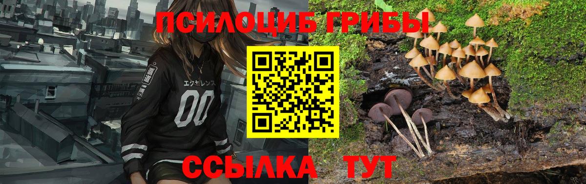 Галлюциногенные грибы мухоморы  Псилоцибиновые грибы Magic Shrooms  Киров  Вход с VPN 