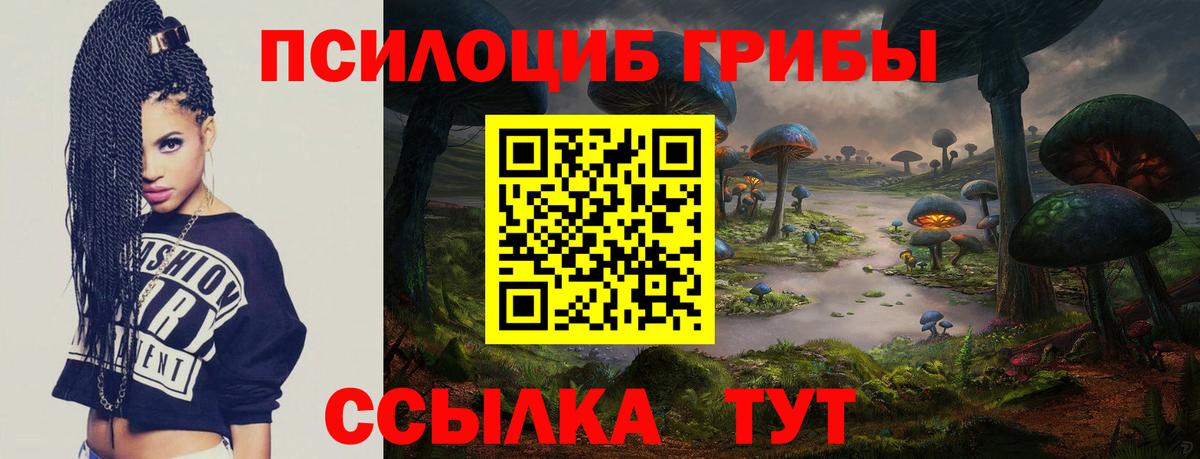 Псилоцибиновые грибы ЛСД Киров