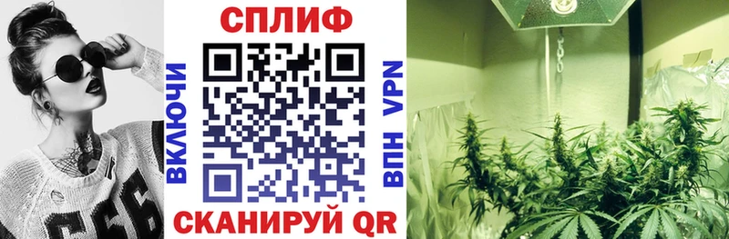 где купить наркотик  Киров  Марихуана VHQ 